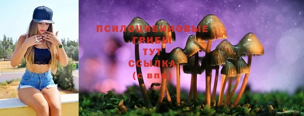 соль курить ск Бронницы